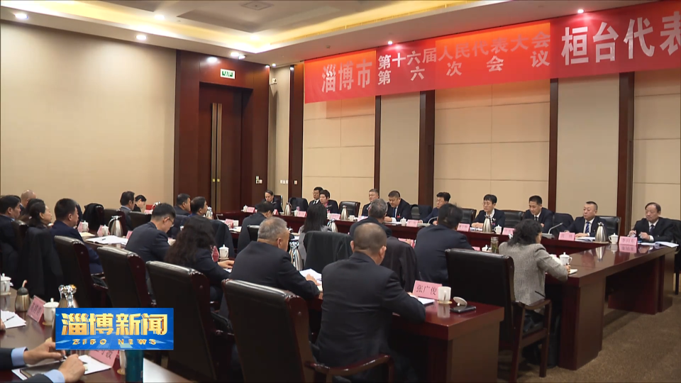 【淄博新闻】孙庆雷到桓台代表团审议市人大常委会工作报告和&ldquo;两院&rdquo;工作报告