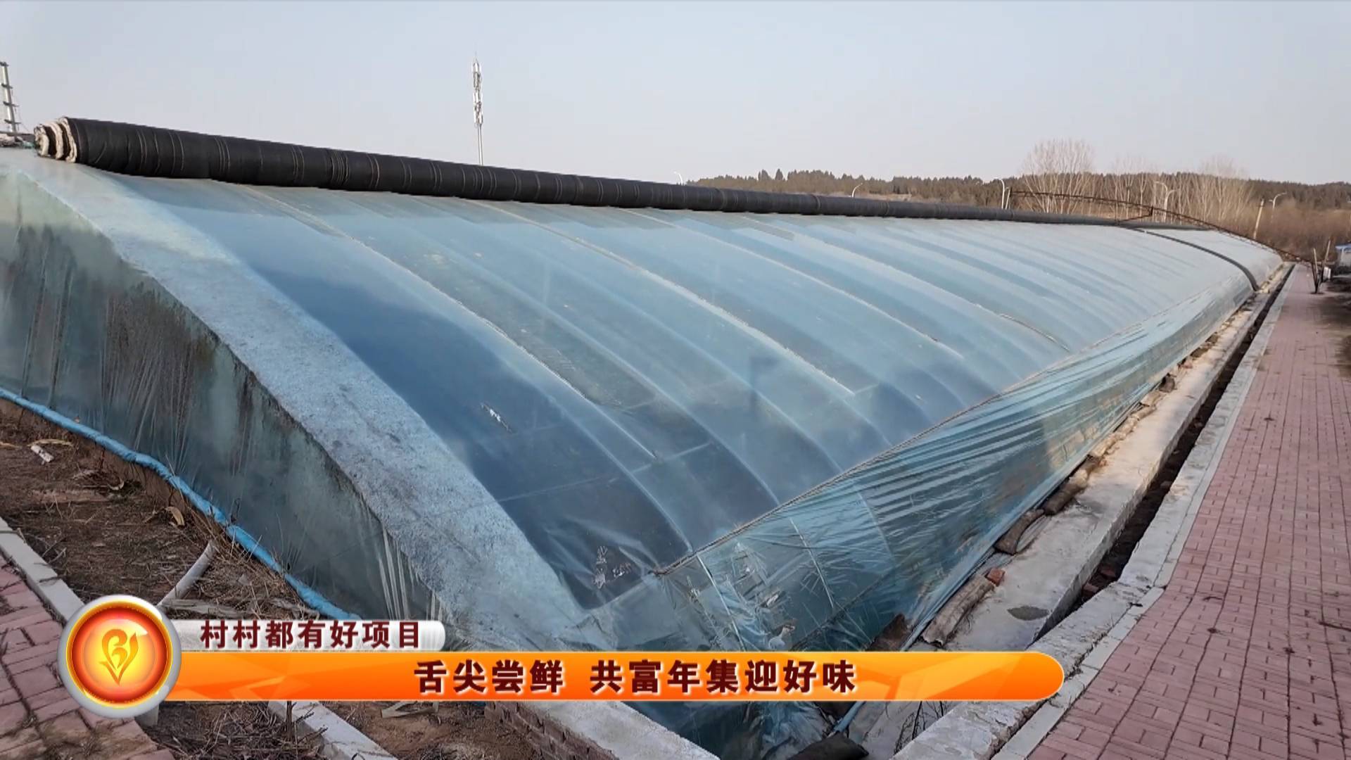 【村村都有好项目】 舌尖尝鲜 共富年集迎好味