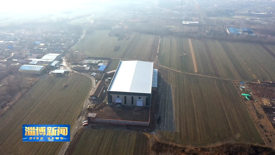 【淄博新闻】【开局&ldquo;十五五&rdquo;奋斗正当时 &middot; 一线报道】双杨镇：聚焦项目攻坚 优化服务效能