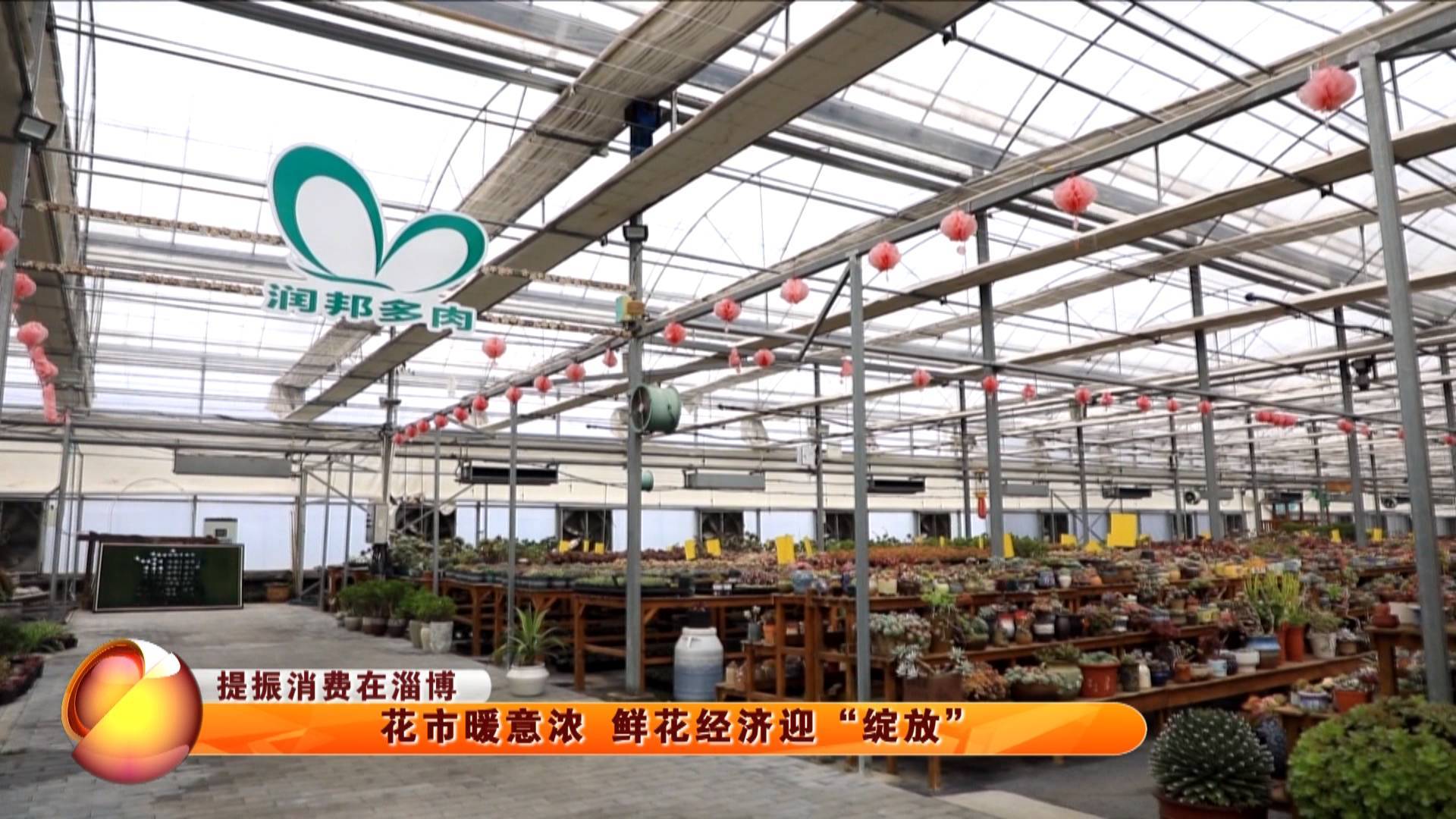 【提振消费在淄博】花市暖意浓 鲜花经济迎&ldquo;绽放&rdquo;