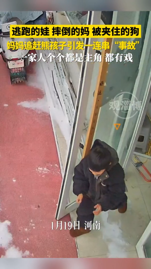 逃跑的娃，摔倒的妈，被夹住的狗妈妈追赶熊孩子，引发一连串"事故"
