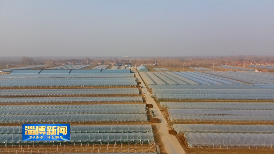 【淄博新闻】【打造乡村振兴齐鲁样板】淄博：特色产业多点开花 绘就乡村振兴新图景