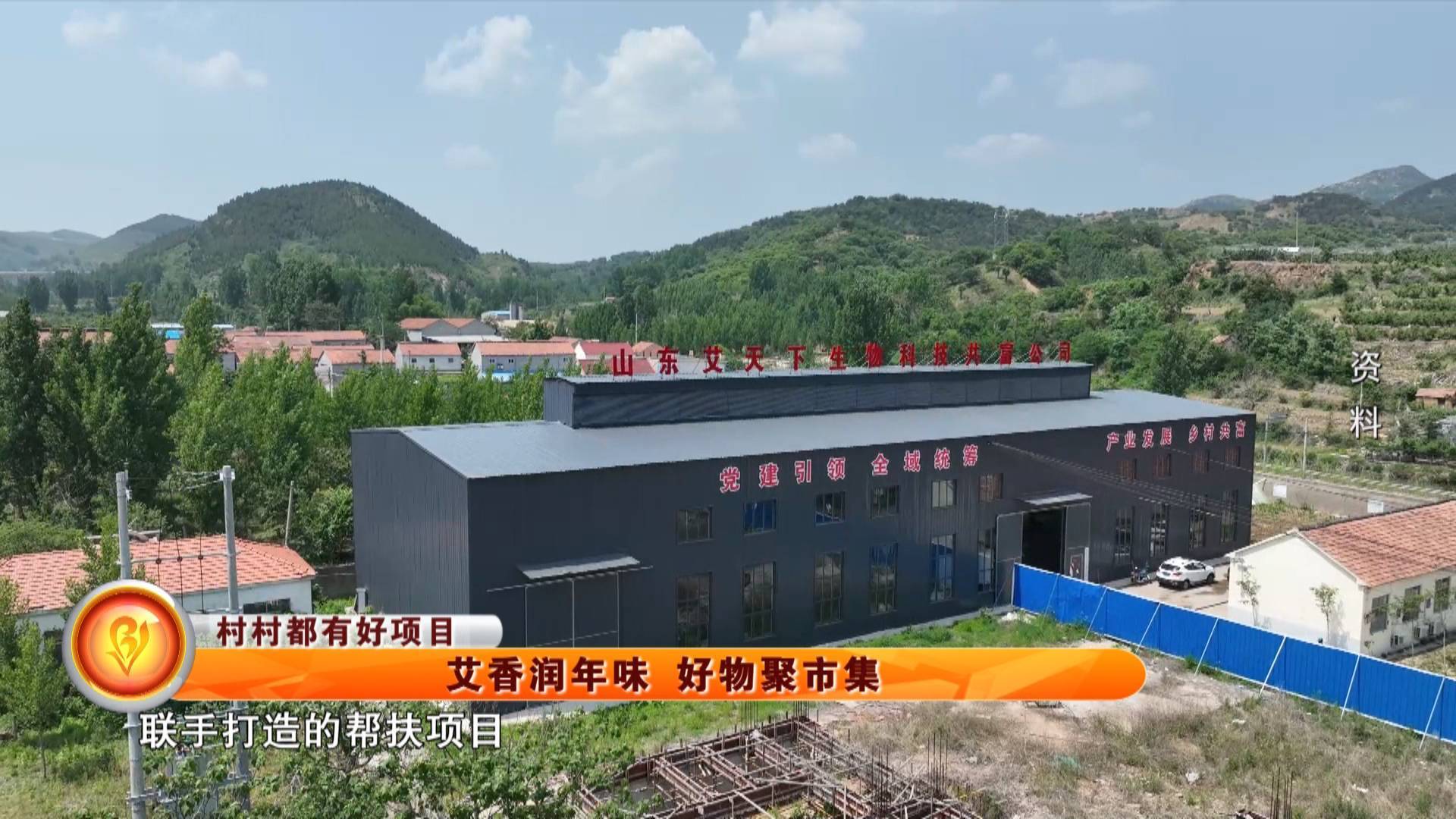 【村村都有好项目】艾香润年味 好物聚市集