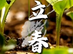 一年之计在于春。立春，行动起来，去奋斗！