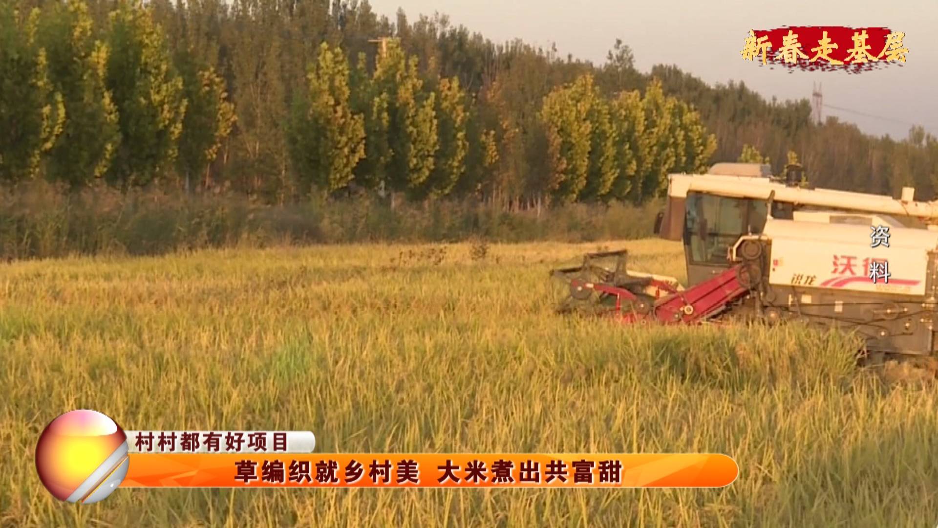 【新春走基层】【村村都有好项目】草编织就乡村美 大米煮出共富甜