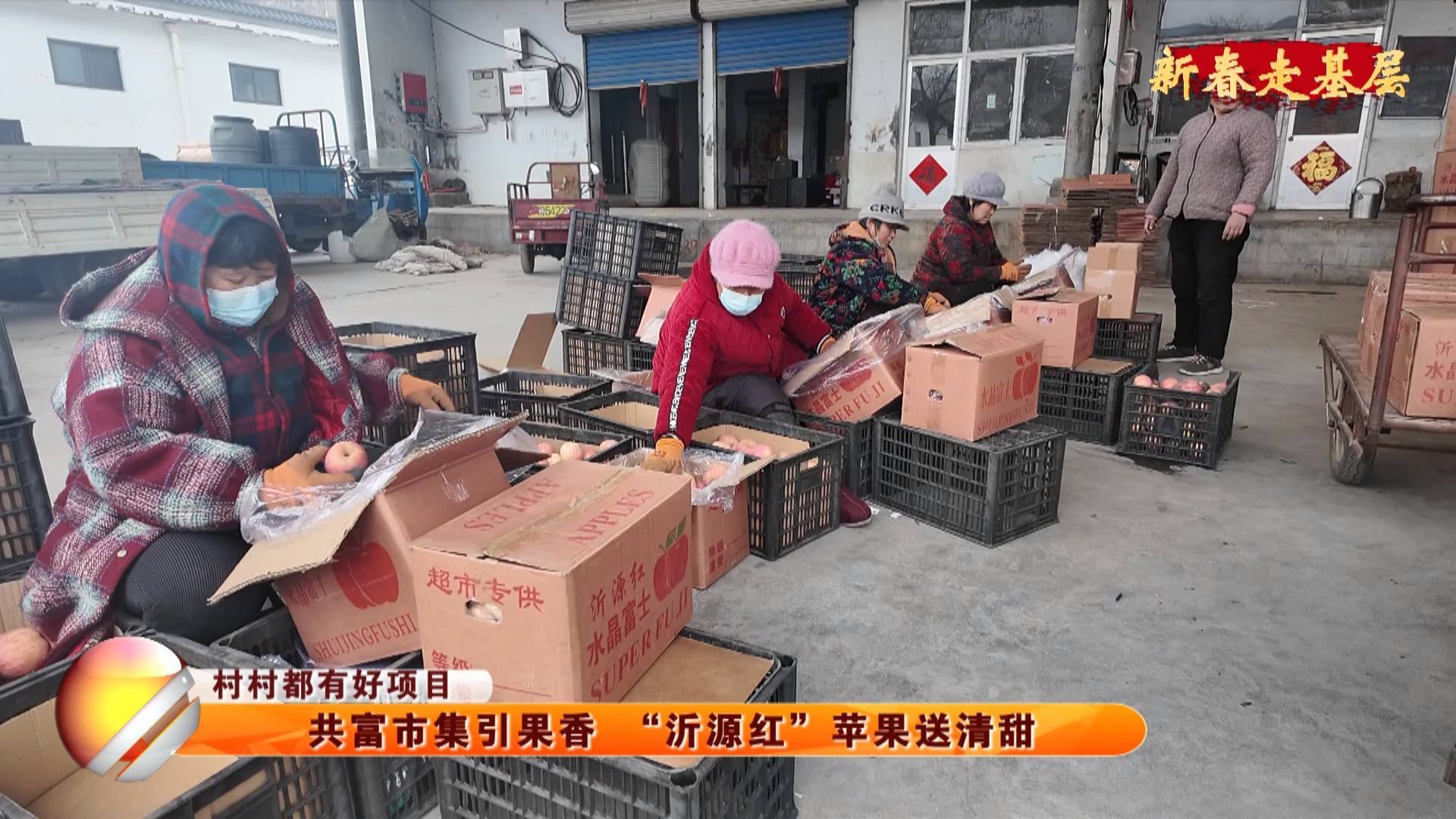 【新春走基层】【村村都有好项目】共富市集引果香 &ldquo;沂源红&rdquo;苹果送清甜