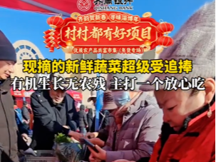 村村都有好项目，欢欢喜喜过大年！优质农产品共富市集（年货专场），现摘的新鲜蔬菜超级受追捧，有机生长无农残，主打一个放心吃。2月7日到9日，到淄博市博物馆广场，赶一场热气腾腾的淄博味年集！