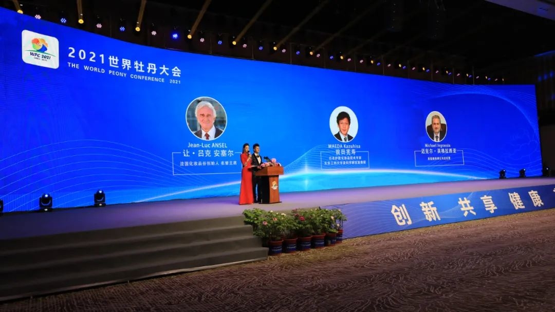 世界大会直播
