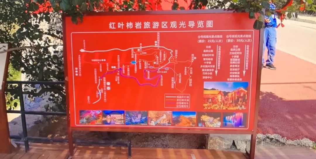 红叶柿岩旅游区位于山东省淄博市博山区域城镇的和尚房村,地处于一个