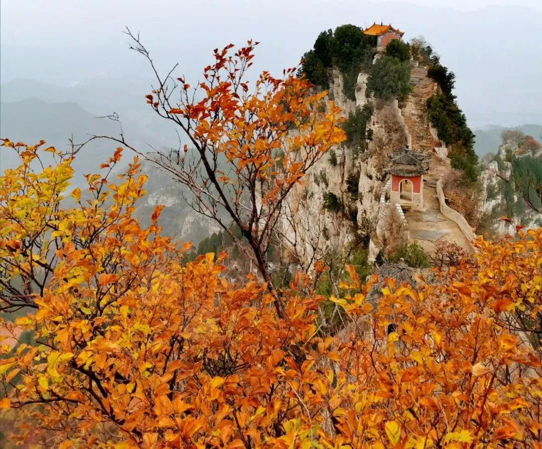 淄川红叶景点大全图片