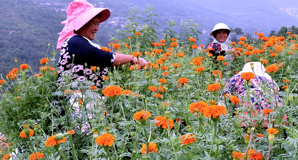 下端士3.png 图片