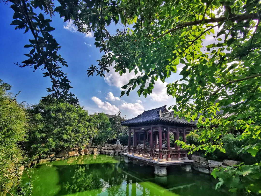 IMG_20190719_162057-01.jpeg 图片