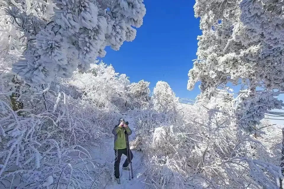 微信图片_20220127103733.jpg 图片