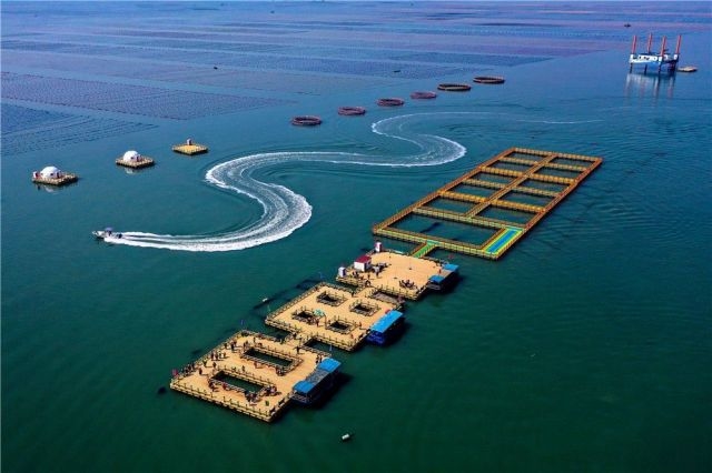 图/在山东荣成爱伦湾国家级海洋牧场，游客乘坐游船前往海上观光平台游玩。