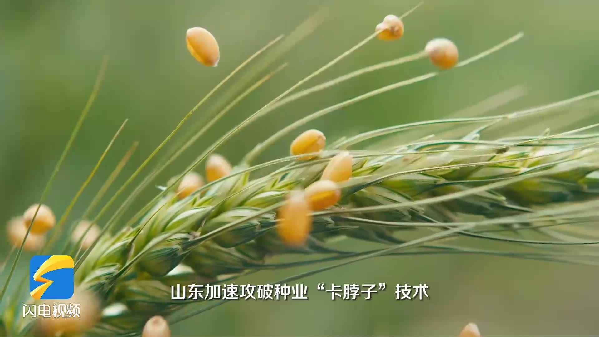 新质生产力农业原来种田可以这样酷