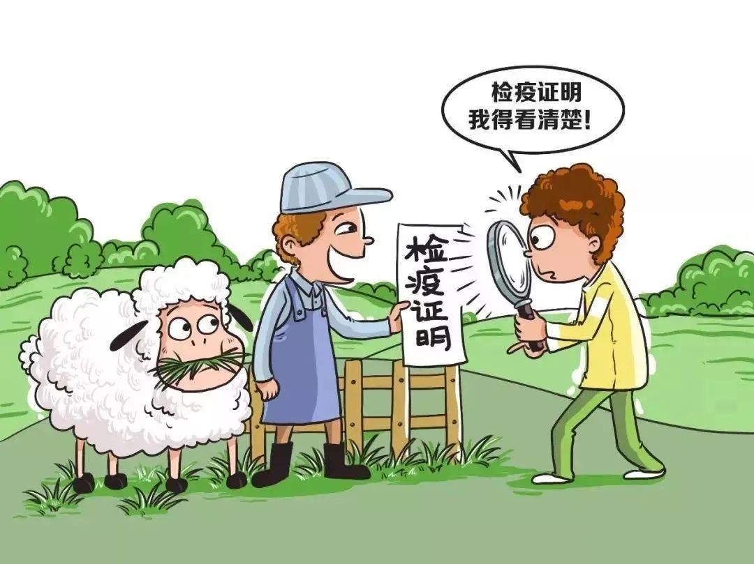 微信图片_20250211162132.jpg
