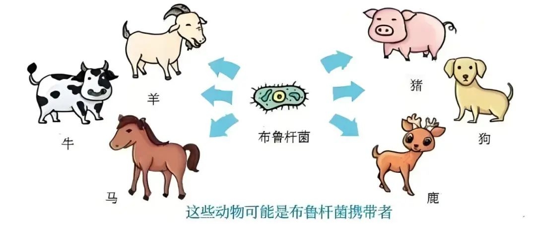 微信图片_20250211162109.jpg