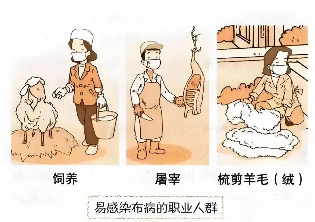 微信图片_20250211162126.jpg
