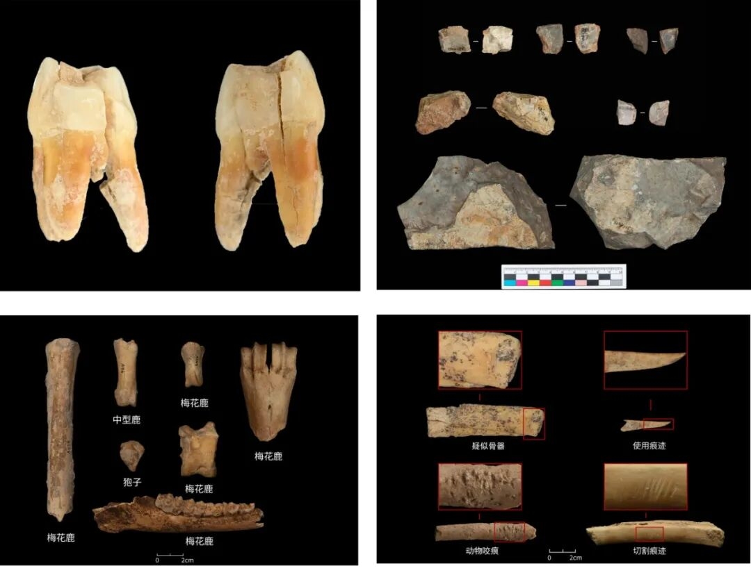 图四 淄川老爷洞遗址出土遗物.jpg