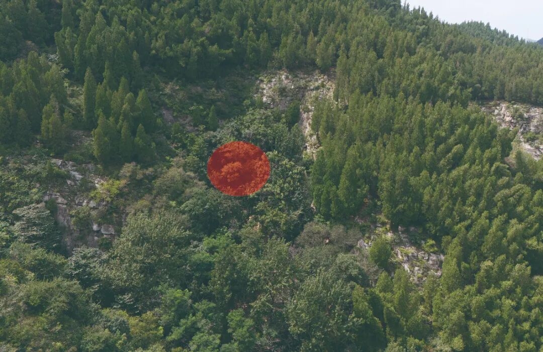 图二 淄川老爷洞遗址位置（航拍远景）.jpg